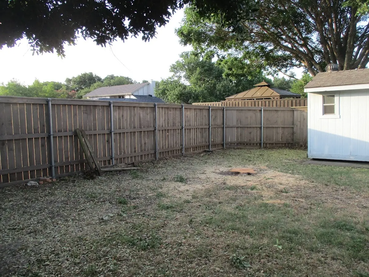 Cleared yard after professional tree removal in Roxboro