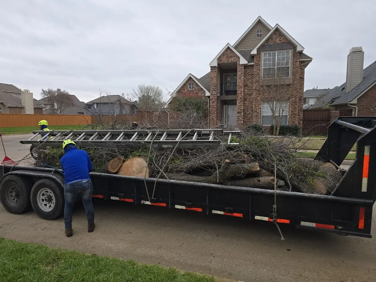 Expert Crown Reduction with proper safety equipment in Roxboro